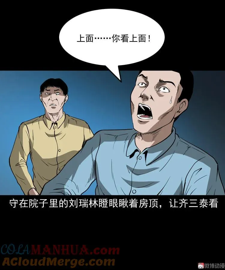 猫老太事件64