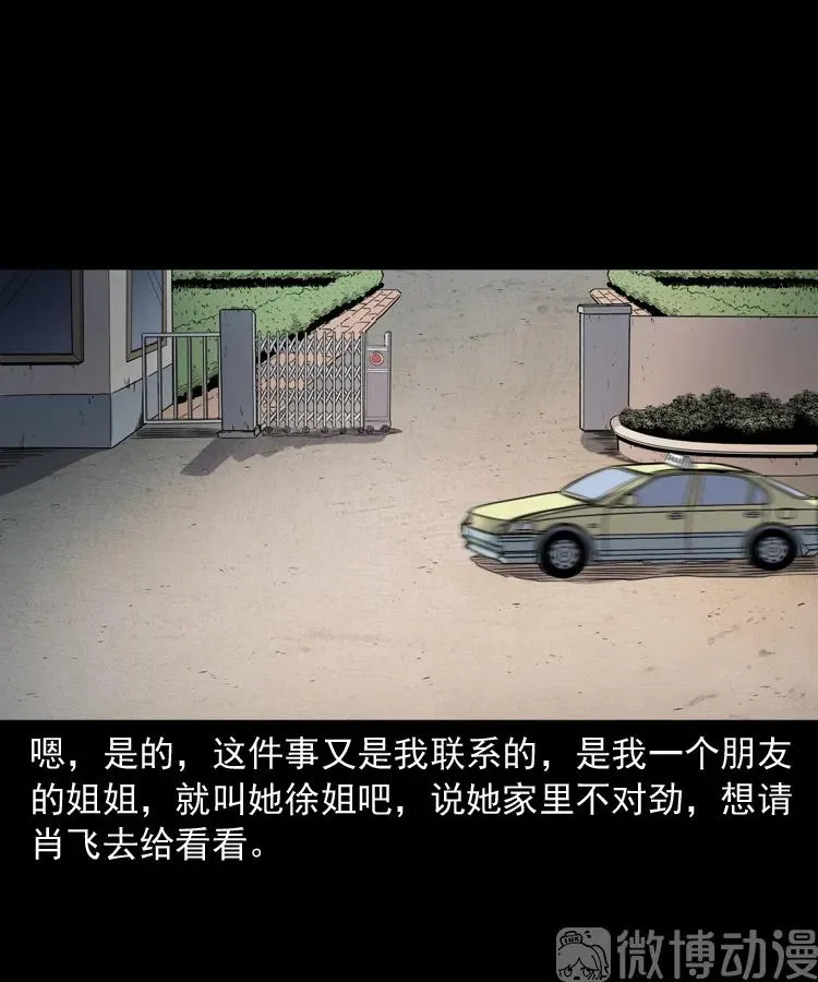 白头翁之猫灵2