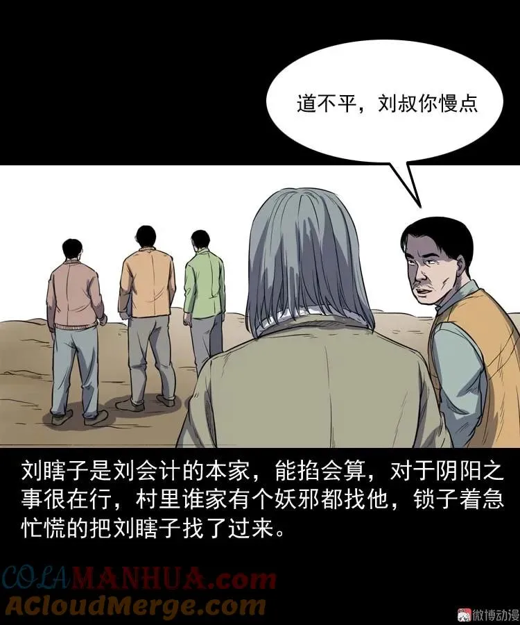 五棺莲花阵12