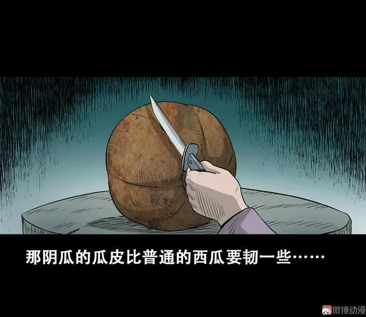 北瓜（上）58