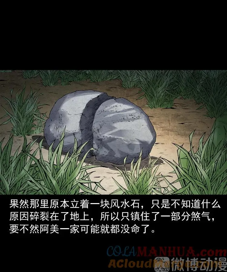 白头翁之抢魂（上）48