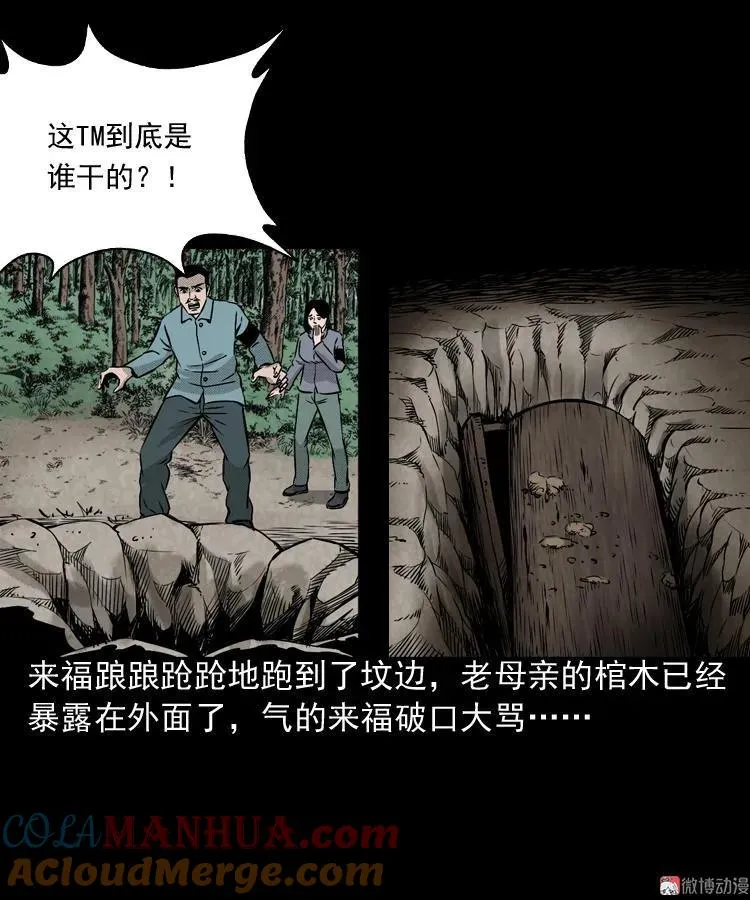 僵尸老太太12
