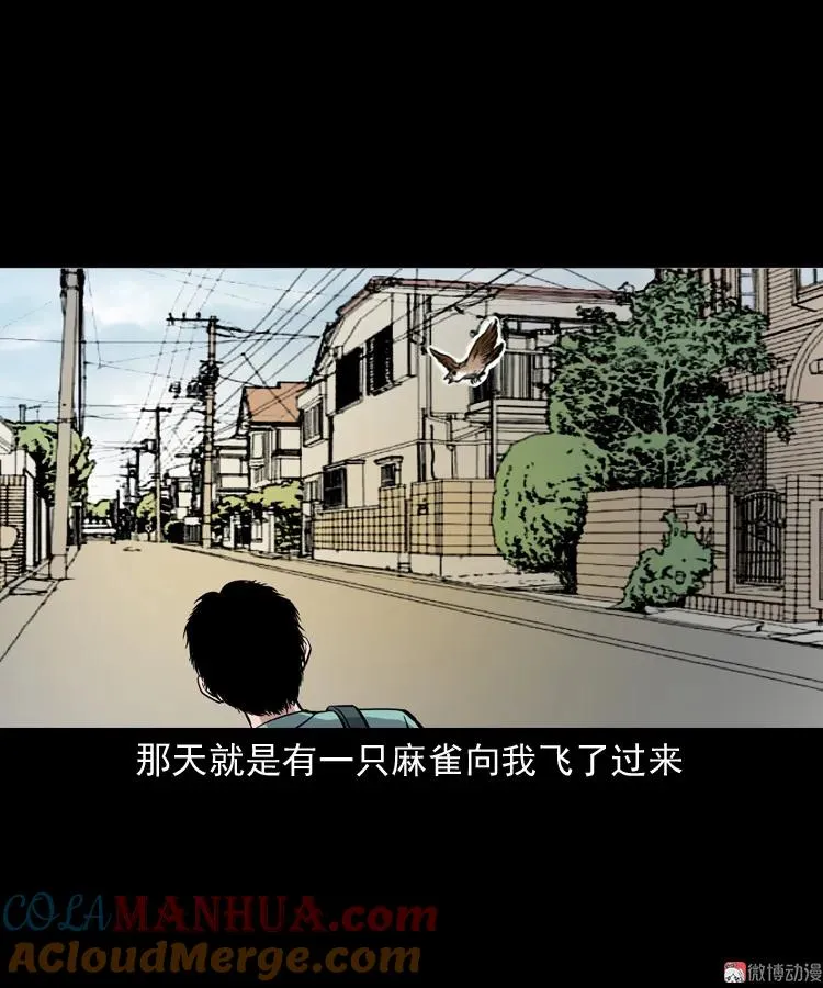 舅舅的故事60