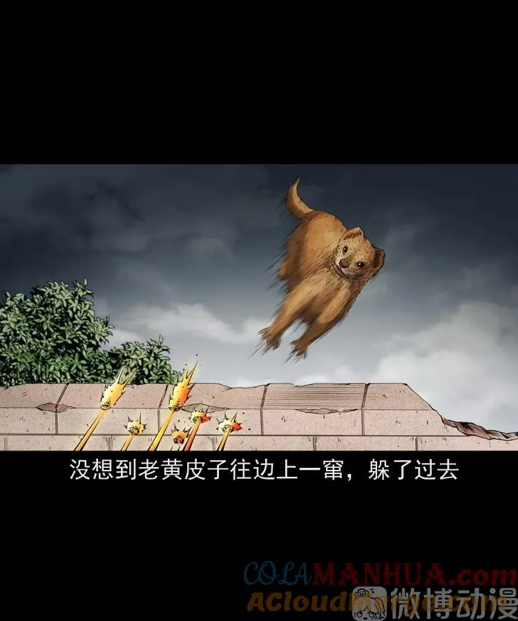仙家异闻75