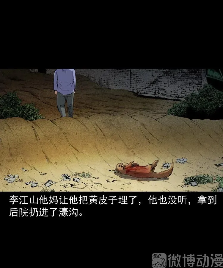 仙家异闻13