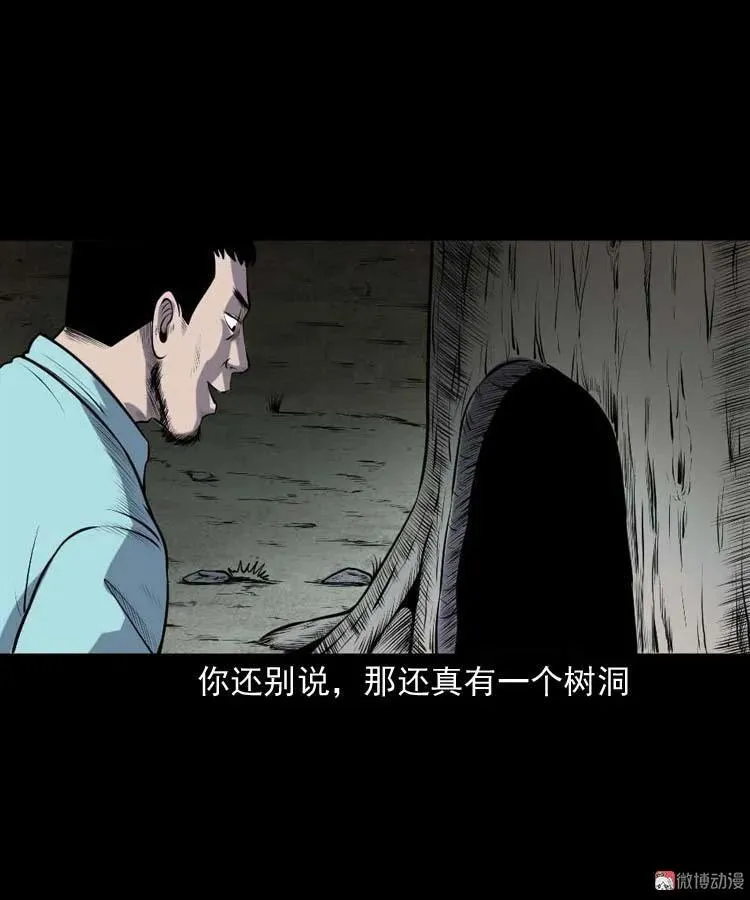 棺材精55
