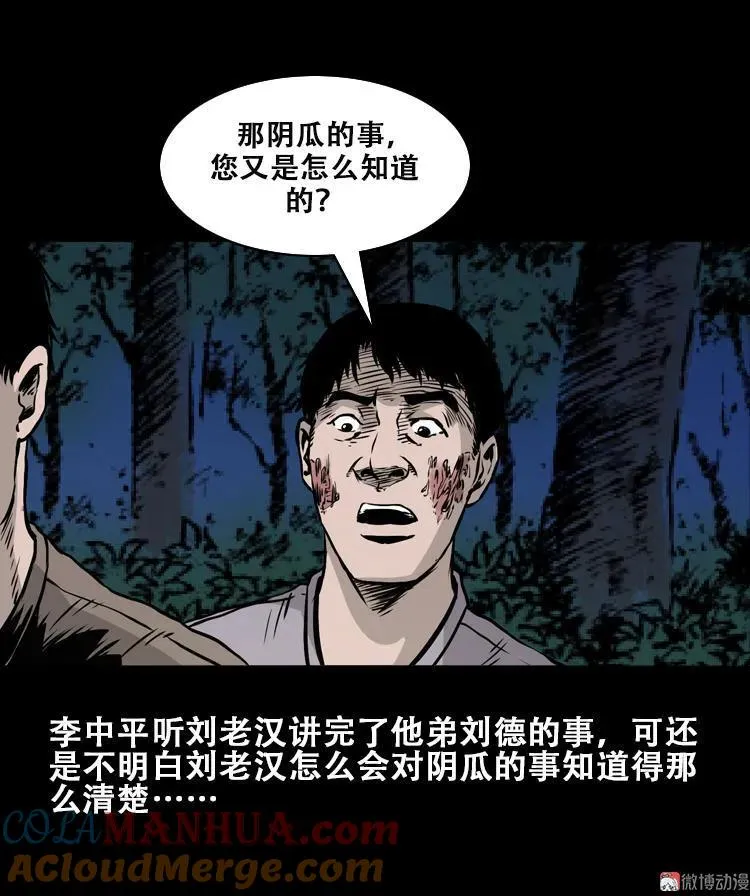 北瓜（下）78