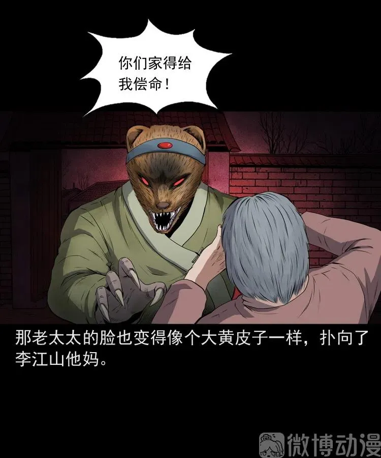 仙家异闻52