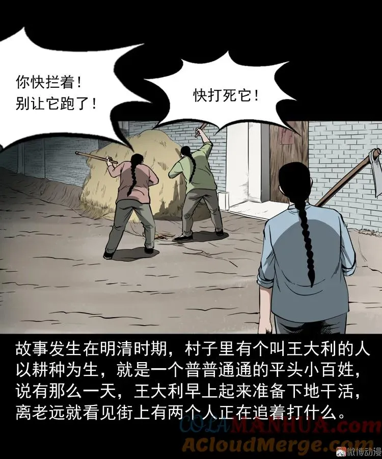 首富王大利3