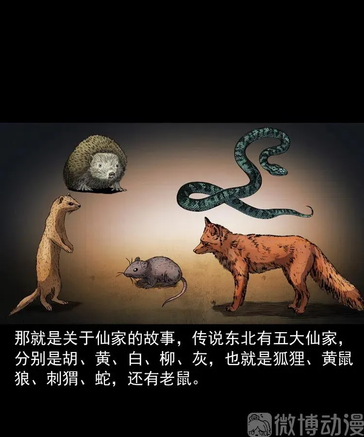 仙家异闻5