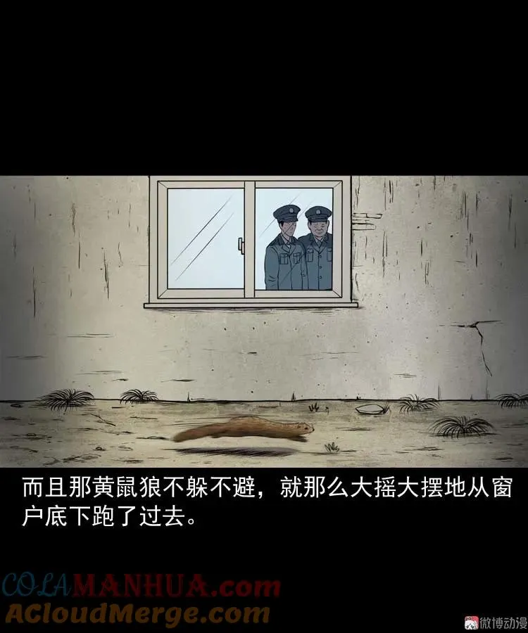 黄皮子医院6