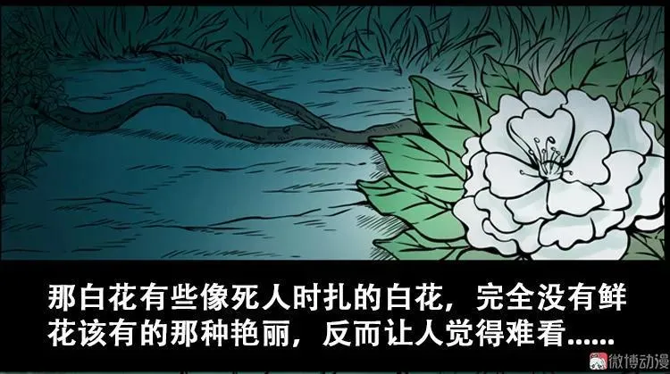 北瓜（上）14