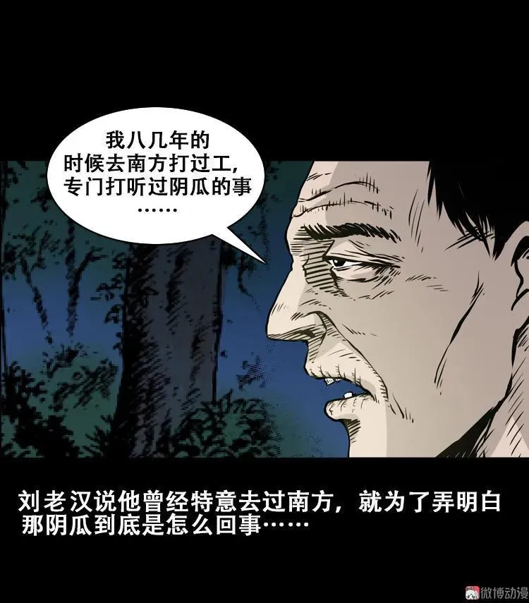 北瓜（下）79
