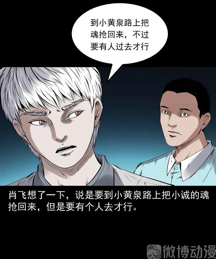 白头翁之抢魂（上）67