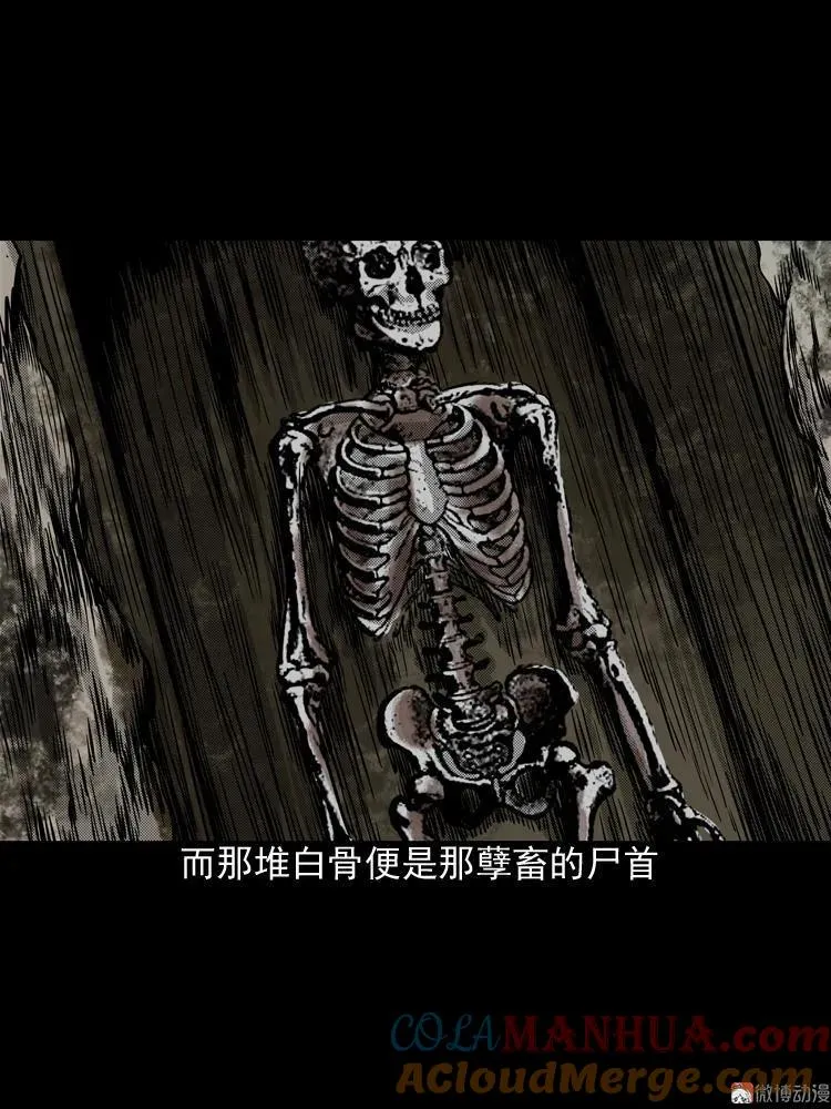 陆酒仙的来历（下）66