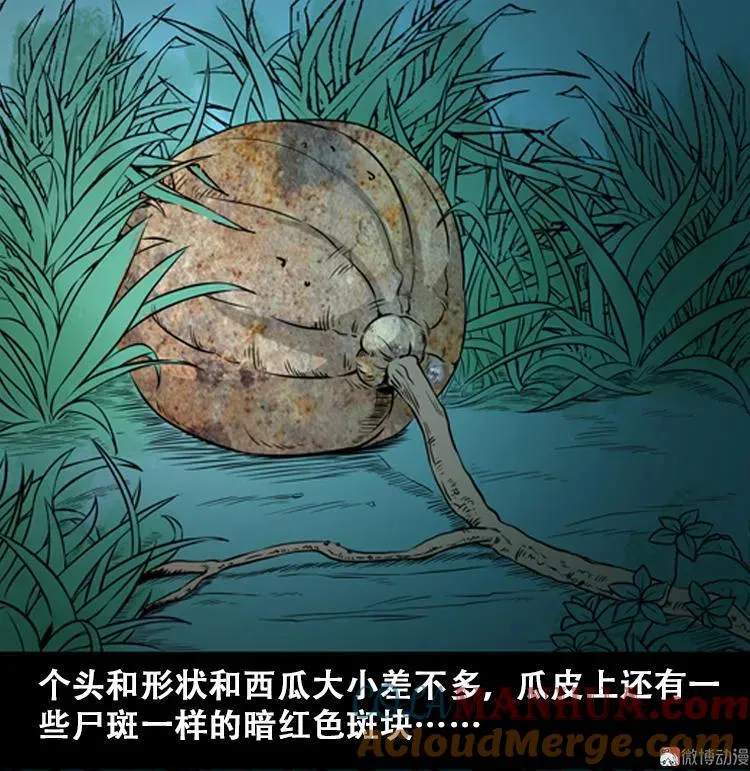 北瓜（上）21