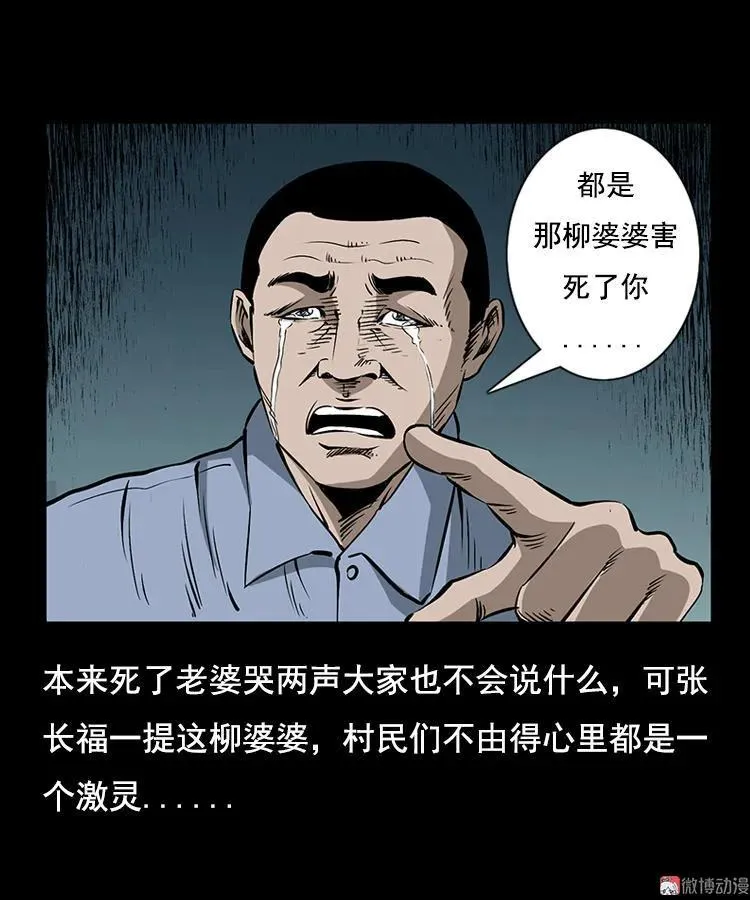 花柳树5