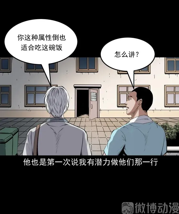 白头翁之猫灵6