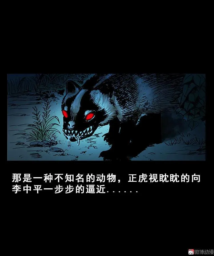 人面獾16