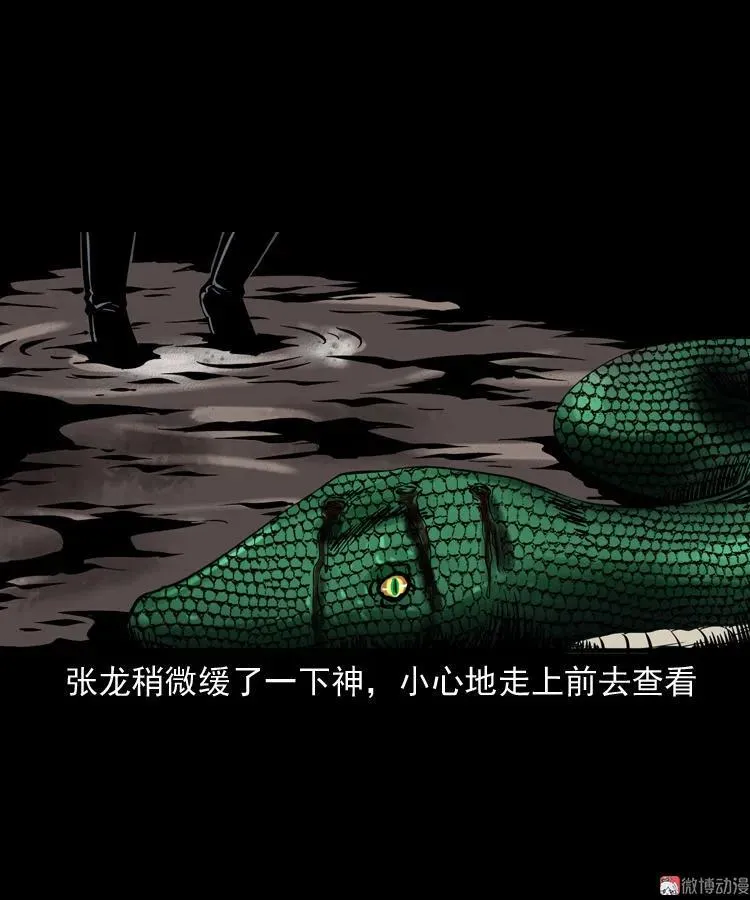 失踪案61