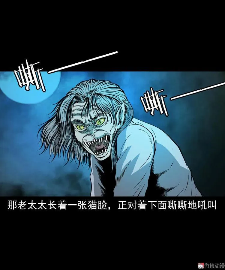猫老太事件66