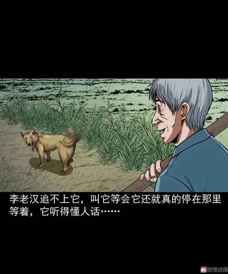 狗32