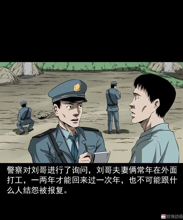 亡妻的下落23