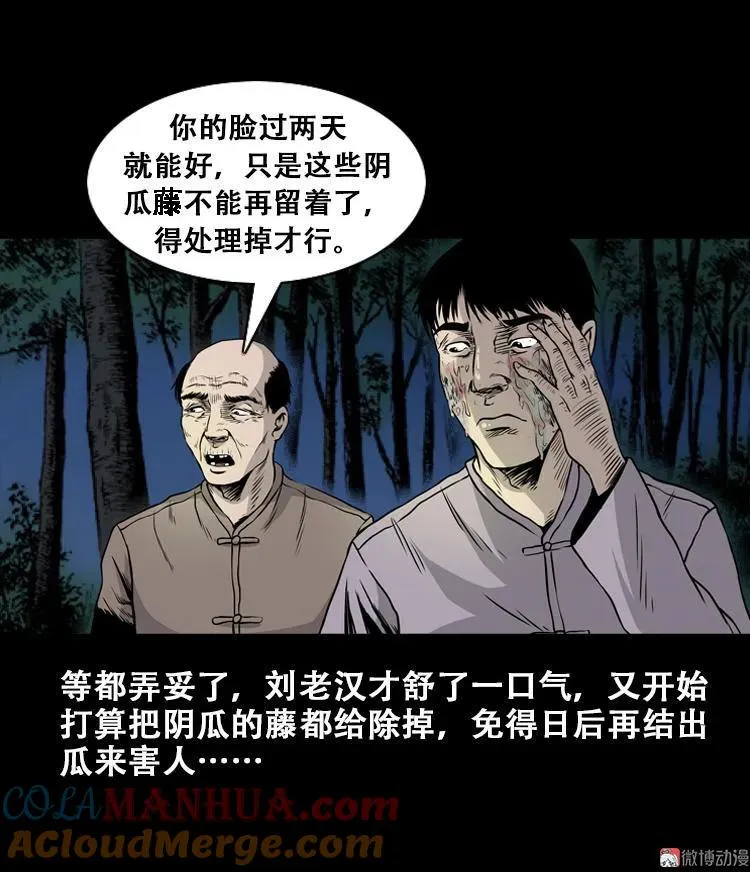 北瓜（下）84