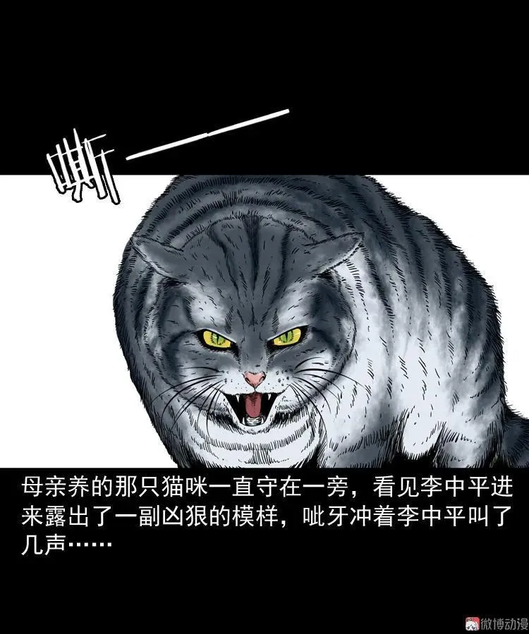 猫老太事件27