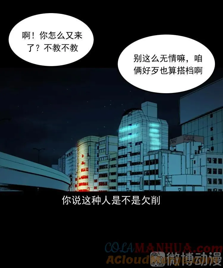 白头翁之猫灵100