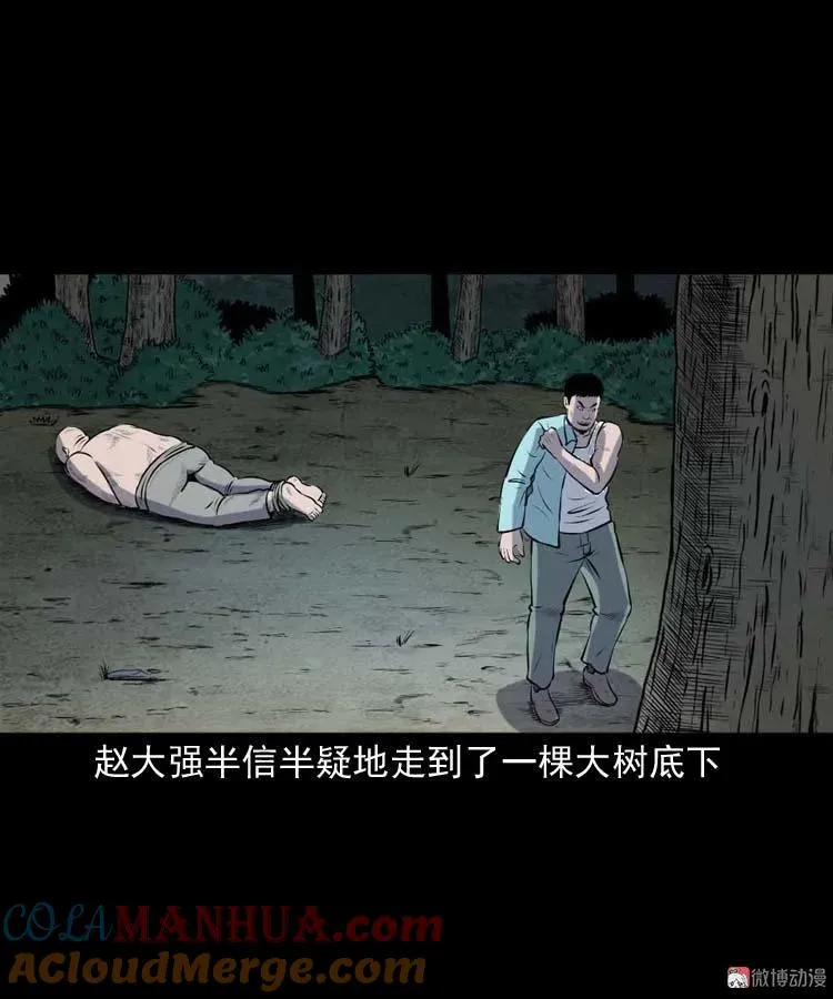 棺材精54