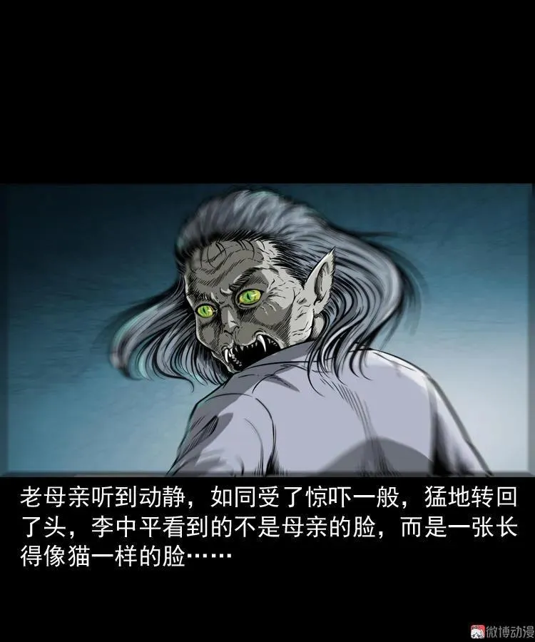 猫老太事件42