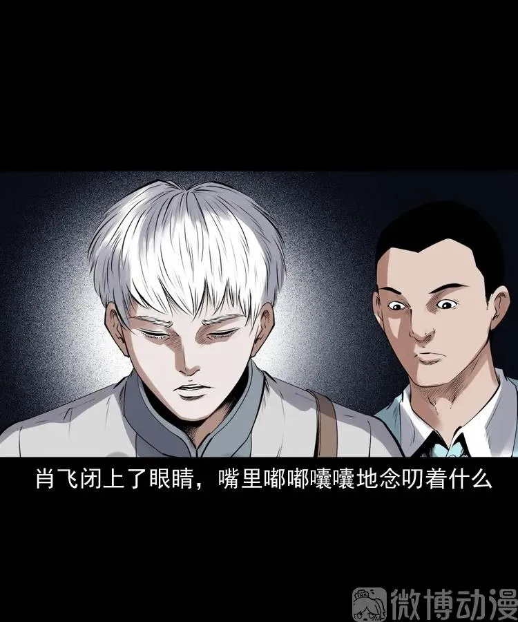白头翁之抢魂（上）26