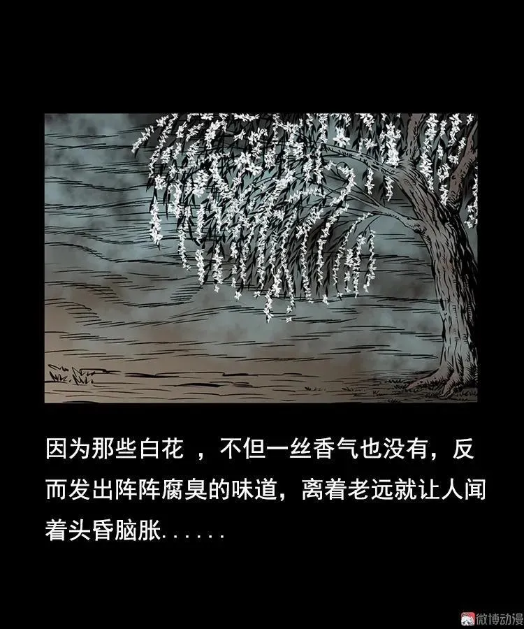 花柳树62