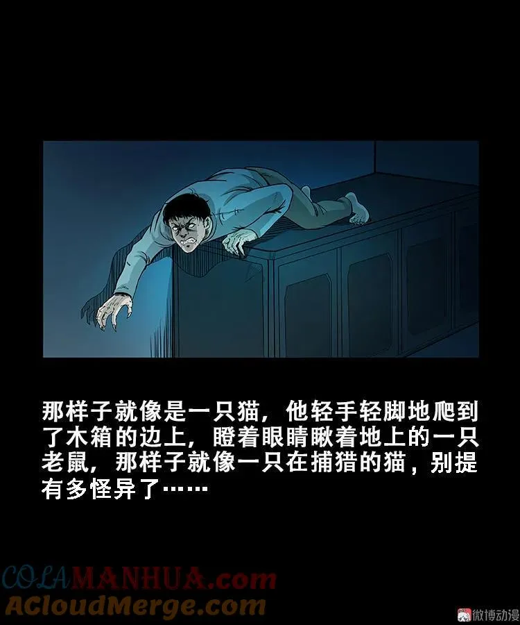 黑猫24