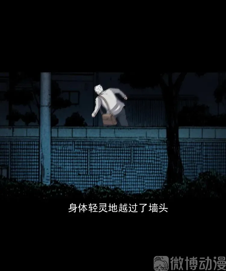 白头翁之猫灵77