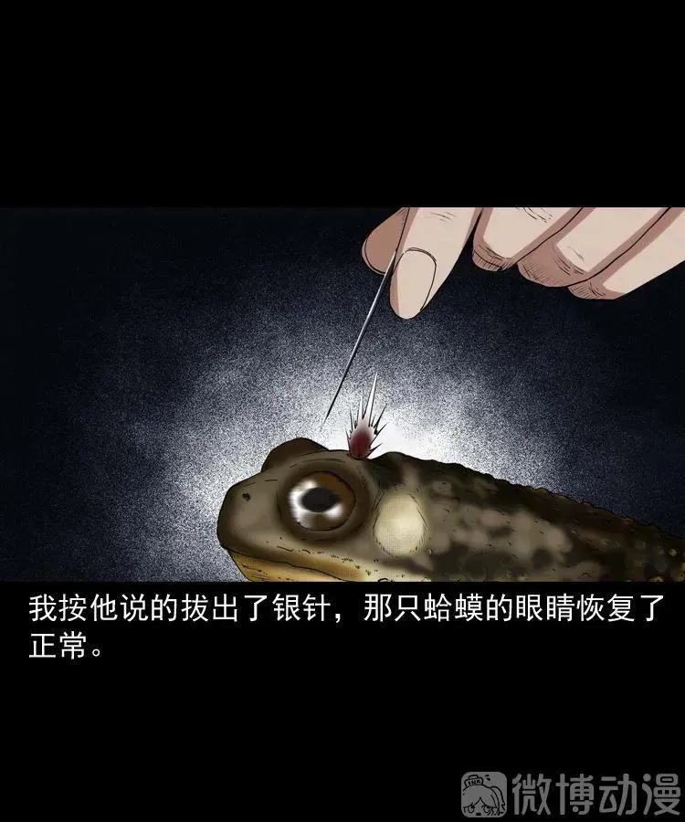 白头翁之诈尸下集67