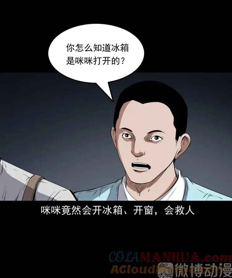 白头翁之猫灵92