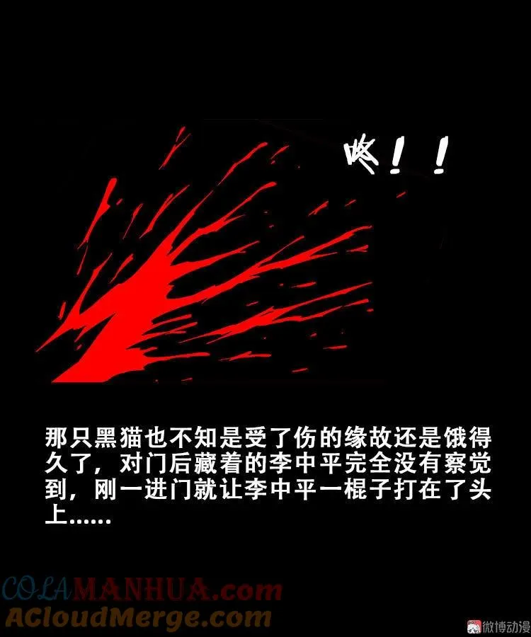 黑猫14