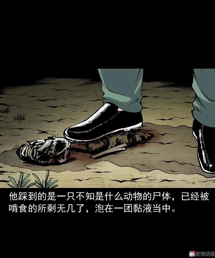 失踪案 255