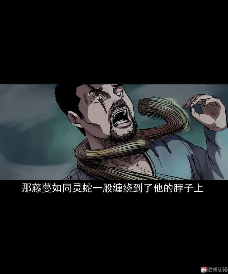 稻草人56