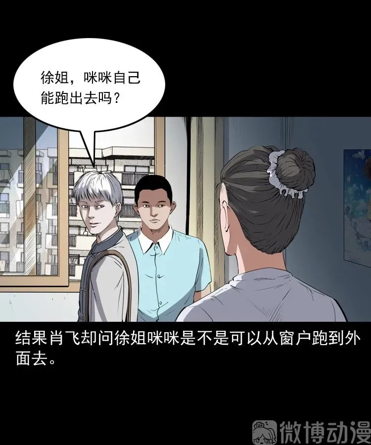 白头翁之猫灵53