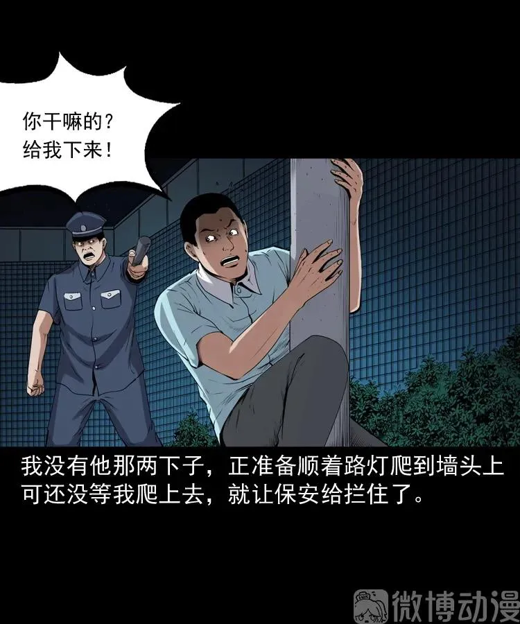 白头翁之猫灵78