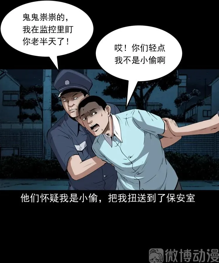 白头翁之猫灵79