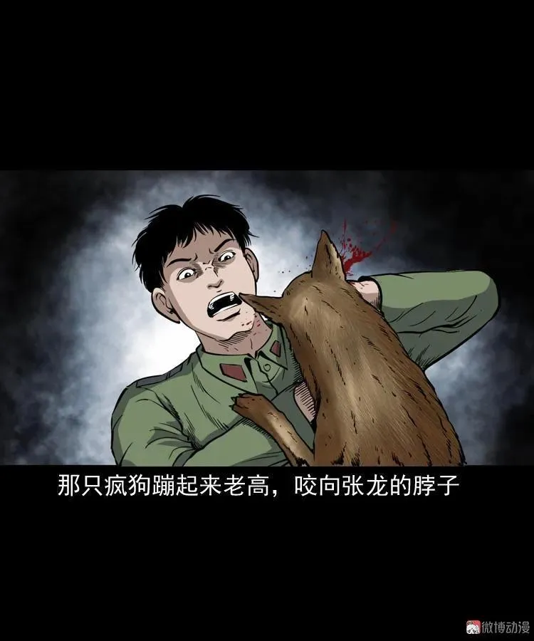 僵尸事件（一）97