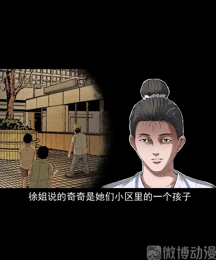白头翁之猫灵22