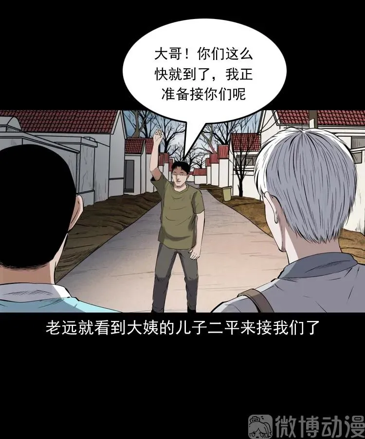 白头翁之压头煞26