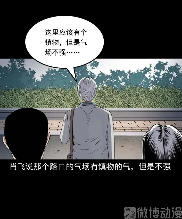 白头翁之抢魂（上）46