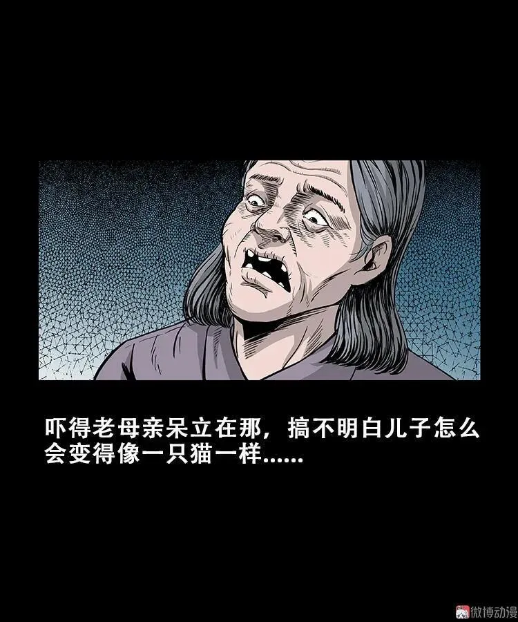 黑猫27