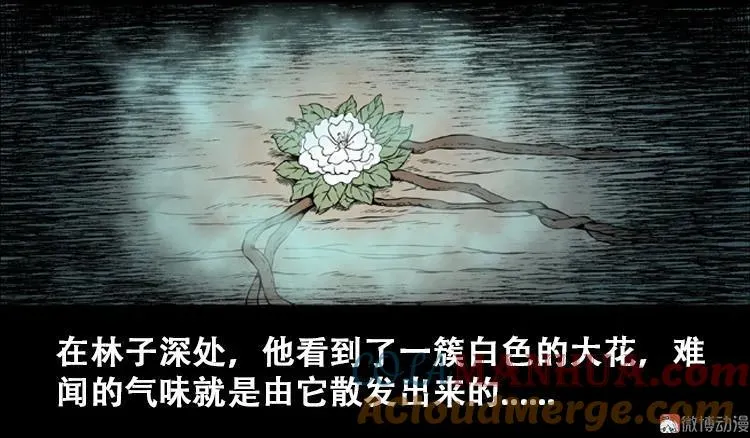 北瓜（上）9